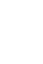 SS Visuals